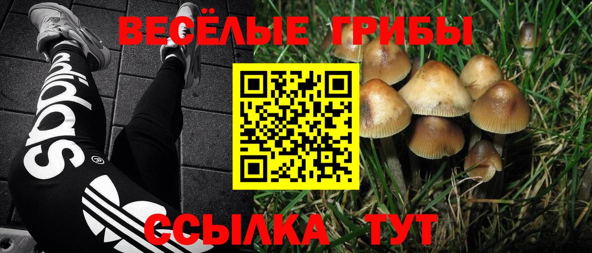 Псилоцибиновые грибы прущие грибы  Вход с VPN  закладка  Галлюциногенные грибы Magic Shrooms  Нарткала 