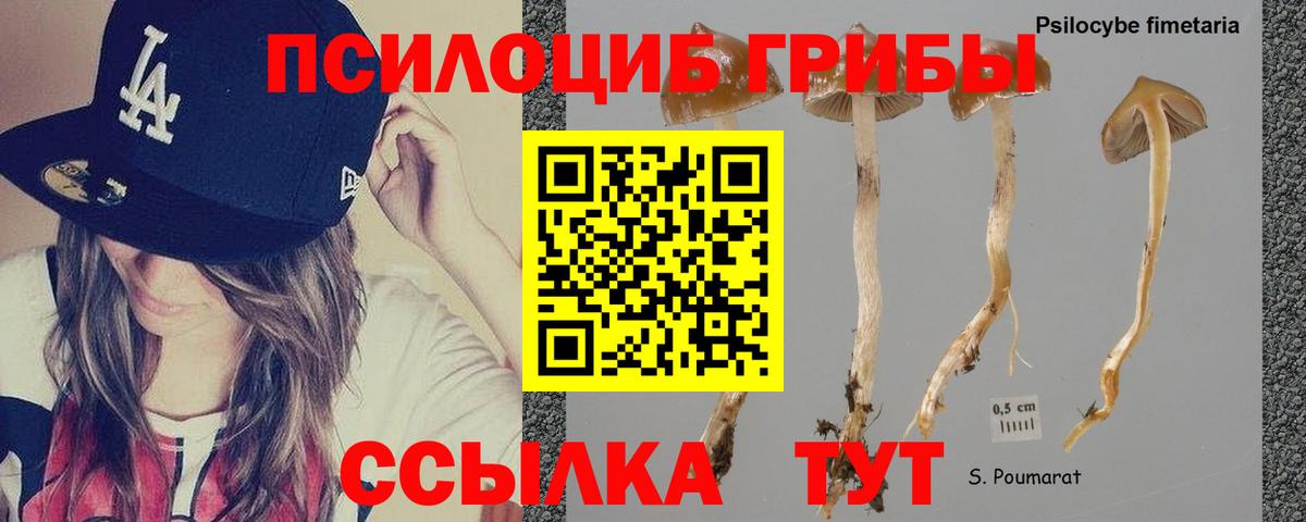 Галлюциногенные грибы мухоморы Нарткала